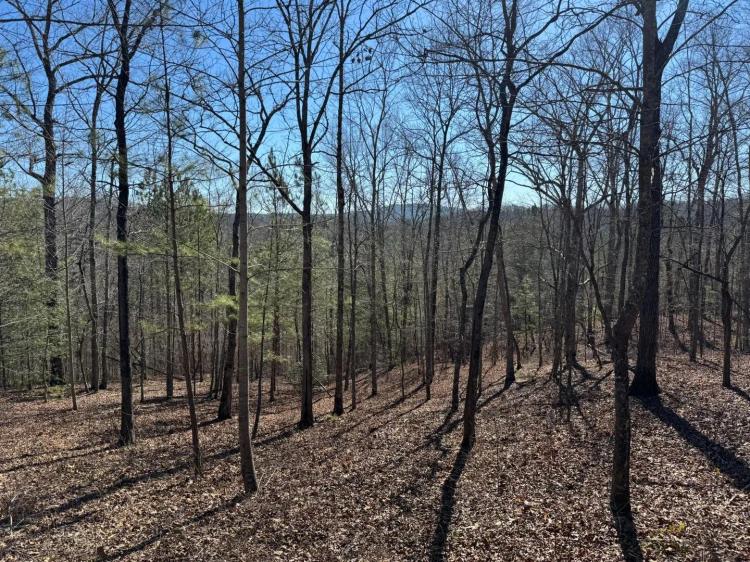 1.23 ac Land Lot-Gilmer County, GA