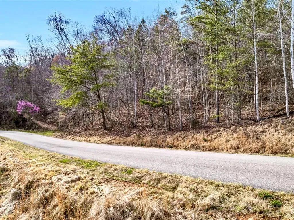 Almost 1 acre Lot with Norris Lake Access