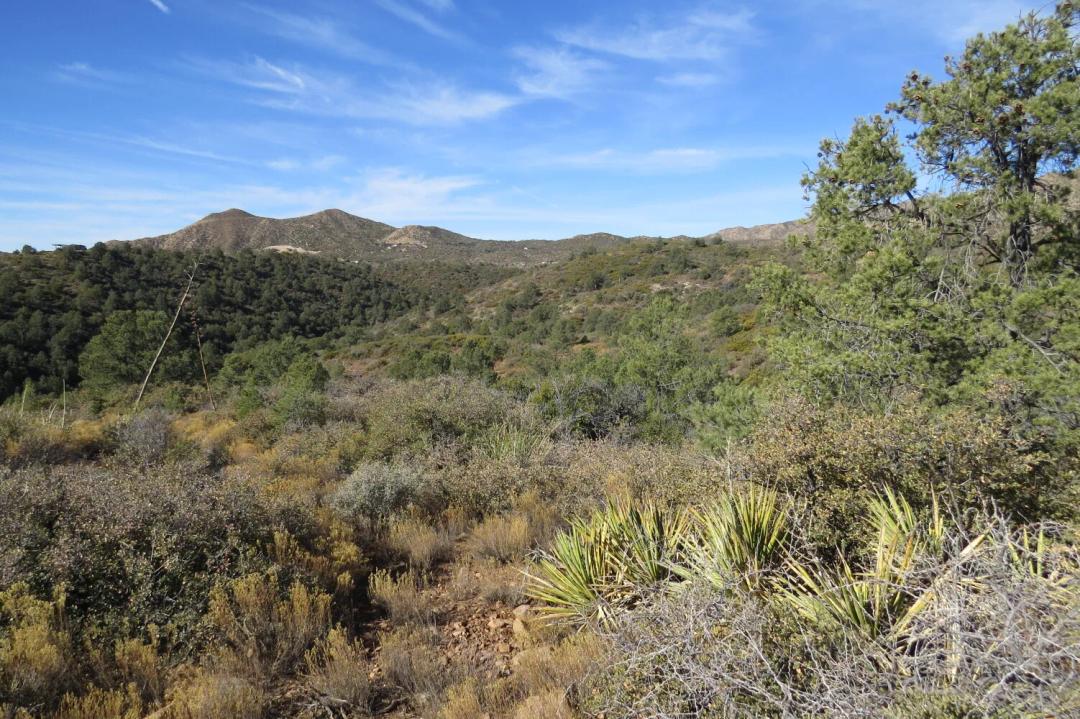 23.20 Acres at 111 Hwy 77