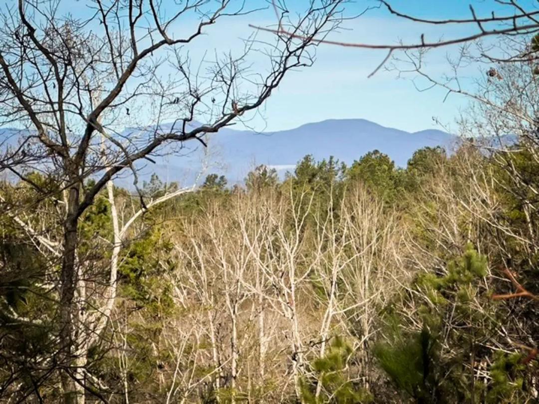+/- 14.52 Acres on Lakeside Dr, Six Mile, SC 29682