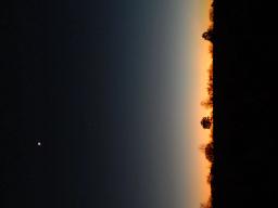 75525056-22