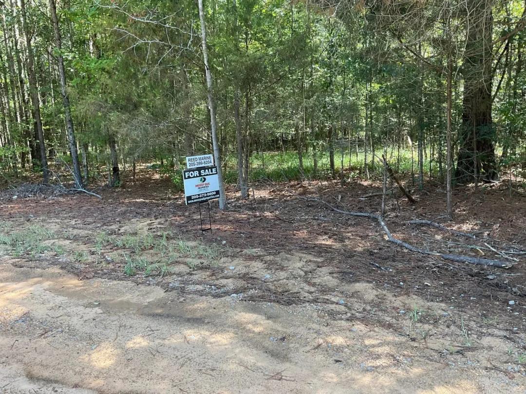 Lot 39 Lake Gainesville Estates - Warsaw Alabama