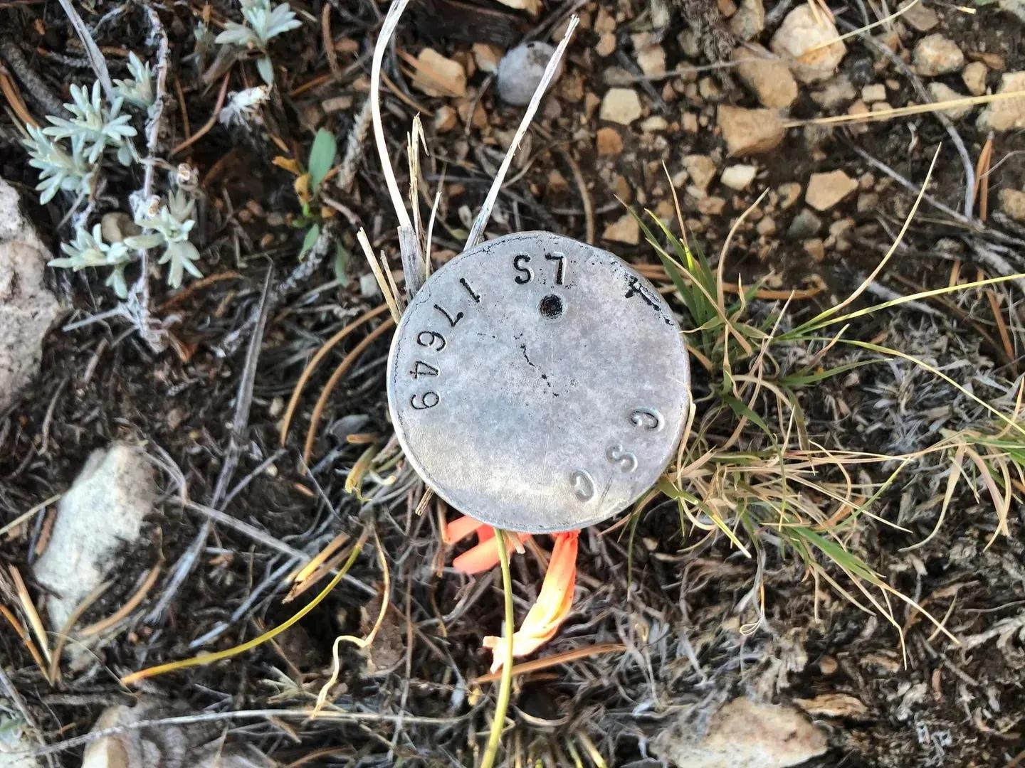 75612566-2