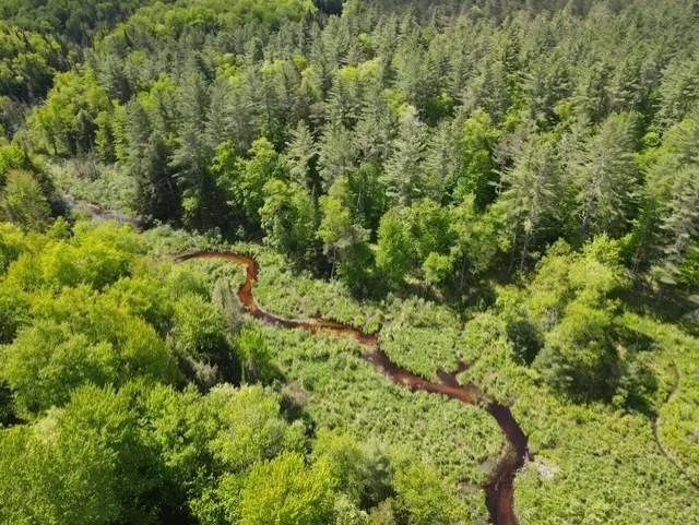 ADIRONDACK ACREAGE IN THE BEAUTIFUL BRANTINGHAM LAKE AREA