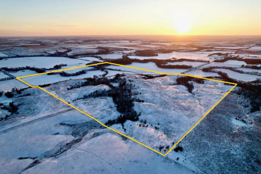 Land Auction: Tract 3 - Dixon - 233 +/- Acres; Premium Hunting,