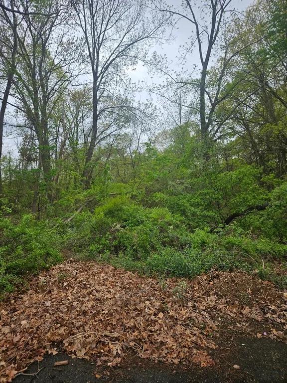 0.33 Acres at 40 Book Street