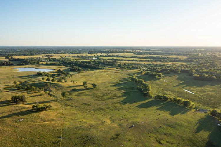 Northeast Texas Ranch For Sale In Bowie County Texas