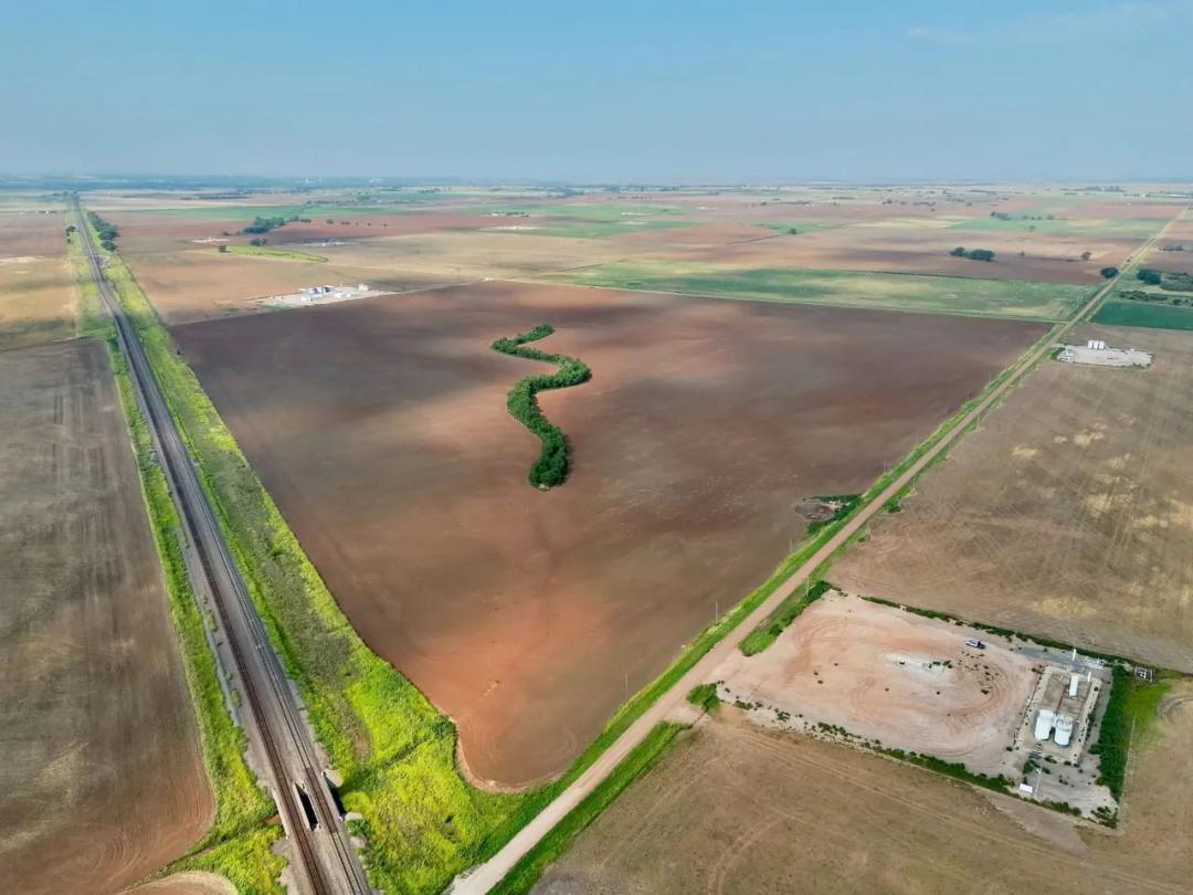 Capron Tillable Farm – 157± Acres