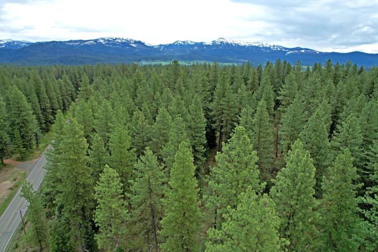 Elo Road McCall 2+Acres