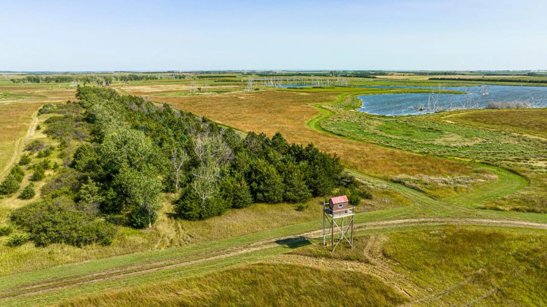 South Dakota Pheasant Acres West Unit