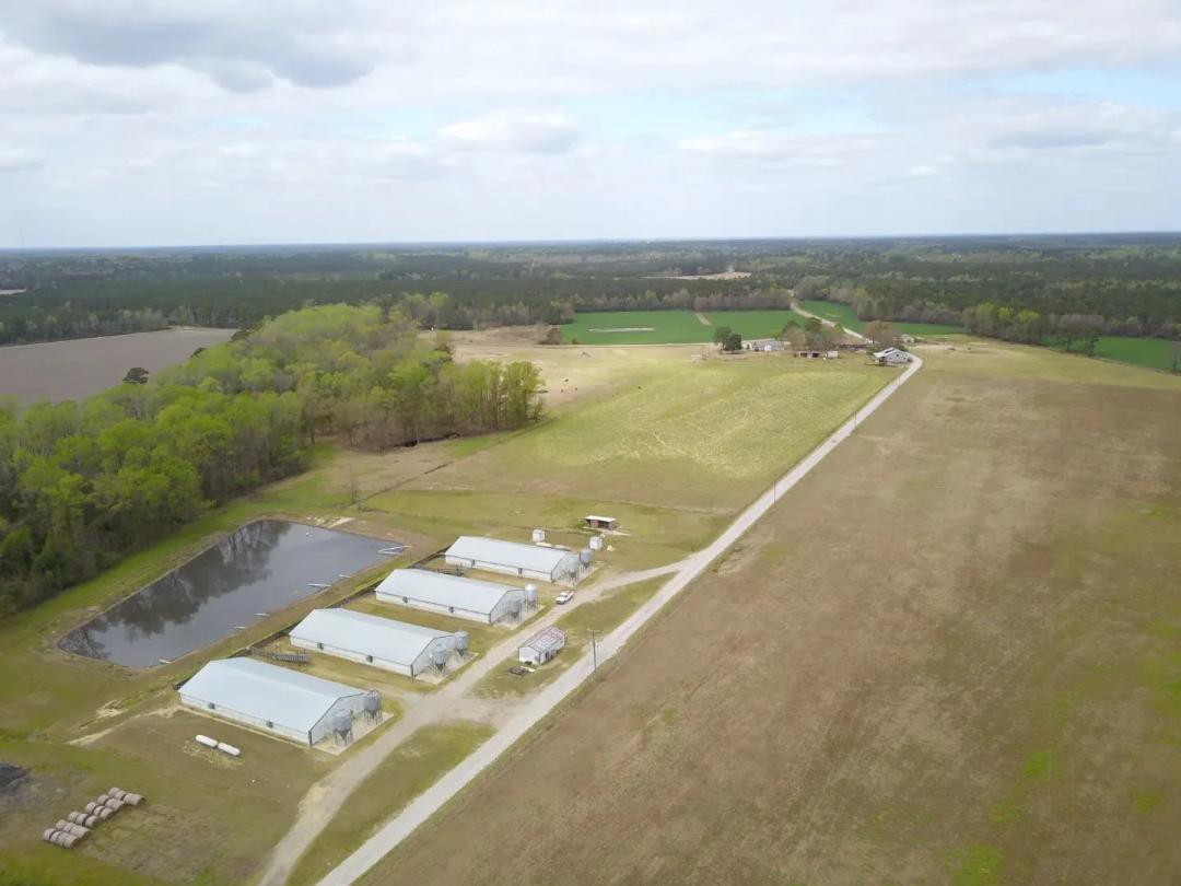 Thriving Hog Farm in Fayetteville, NC - Established Ag Operation on 764 Acres!