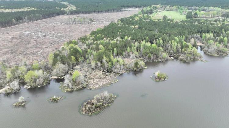 Grand Bayou Tract, Red River Parish, 184.6 acres +/-