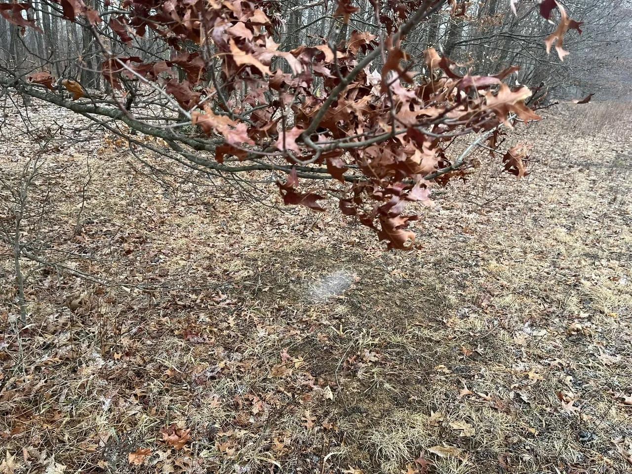 75792929-18