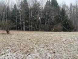 75792929-3