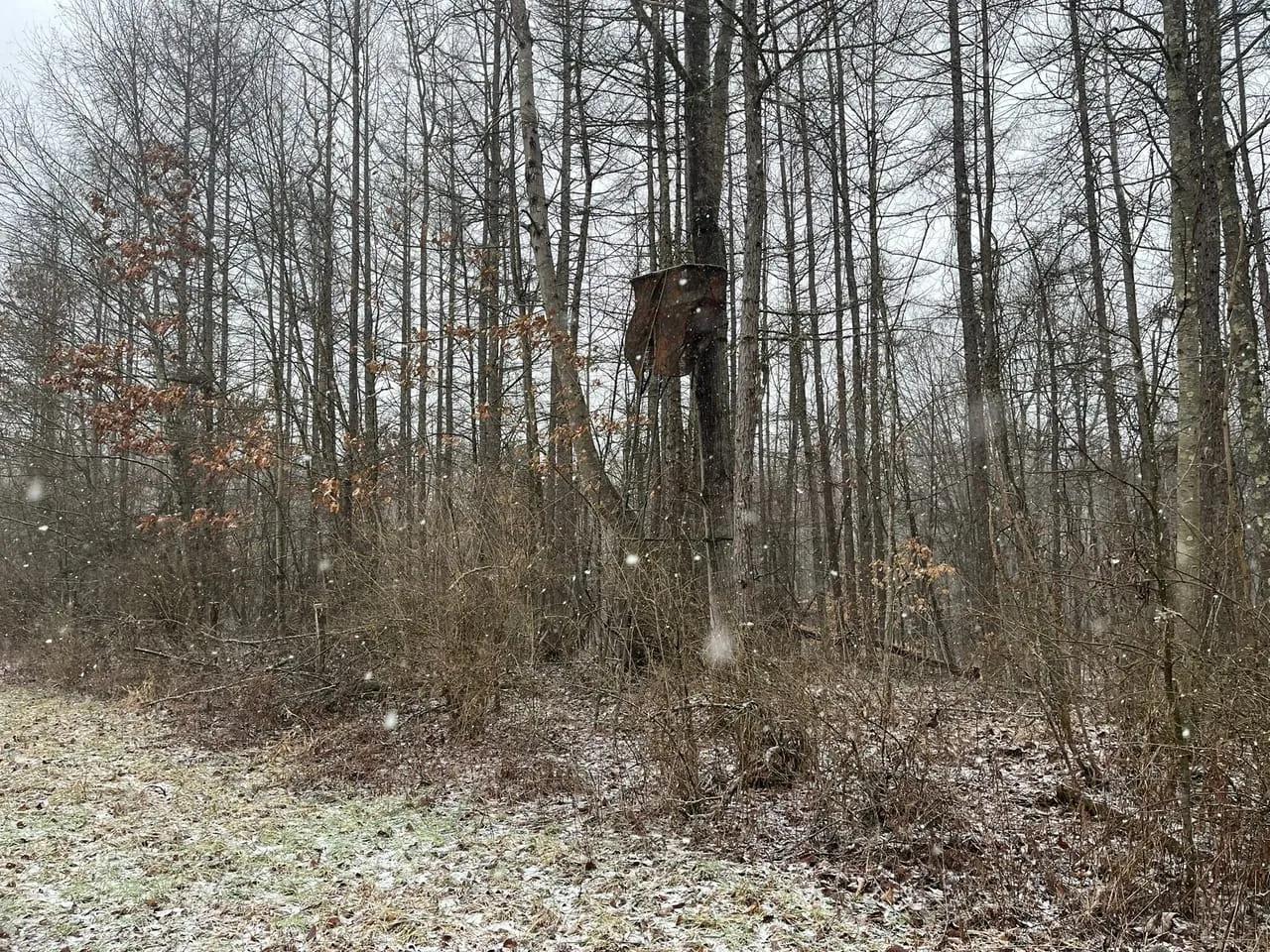 75792929-5