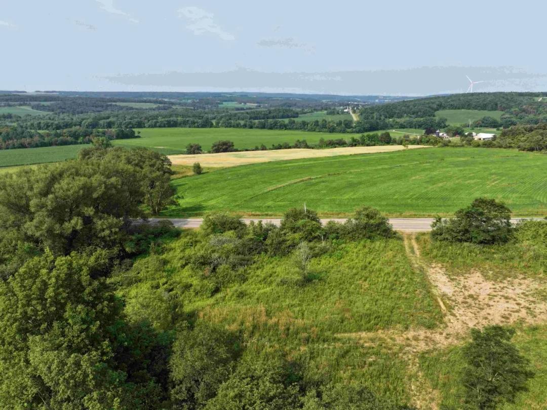 10 acres Hunting Land and Building Lot in South Dayton NY Ball Hill Rd