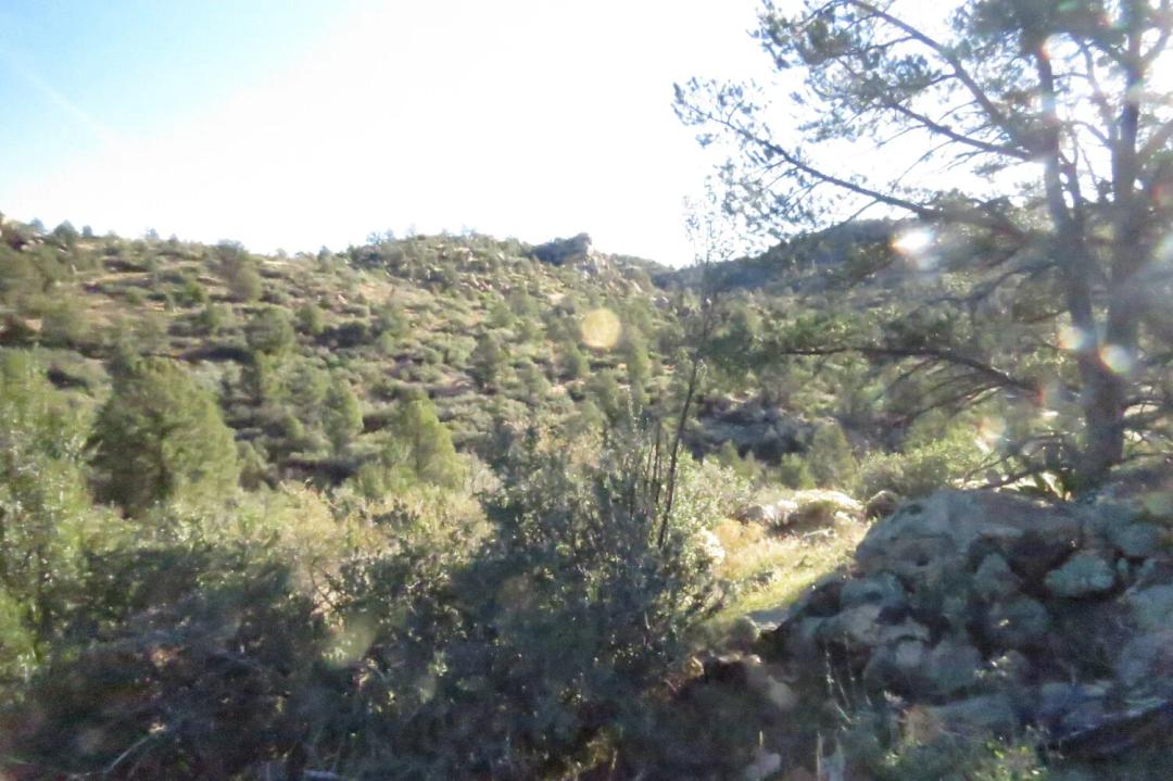 17.59 Acres at 111 W Monte Cristo Rd