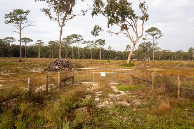 9.66 Acres at 0-1 Lake Mildred Rd