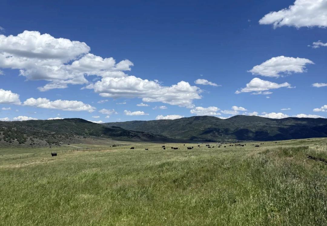Long Gulch Land