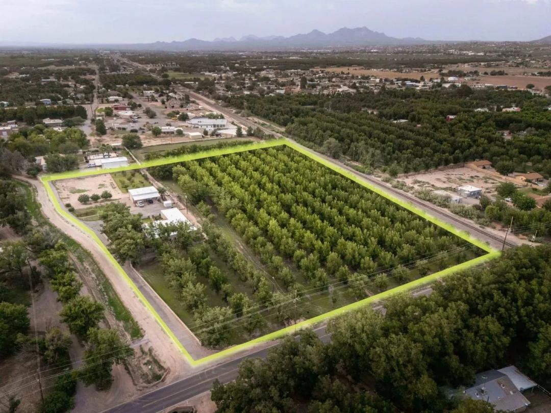 Custom Adobe Home with Pecan Orchard in Las Cruces, New Mexico for Sale