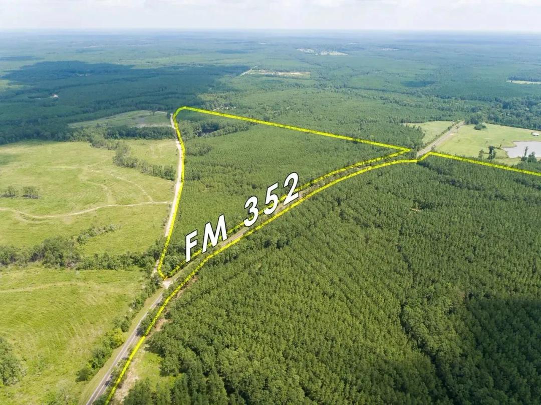 61 Acres | T-17 | Stryker Mill Lake