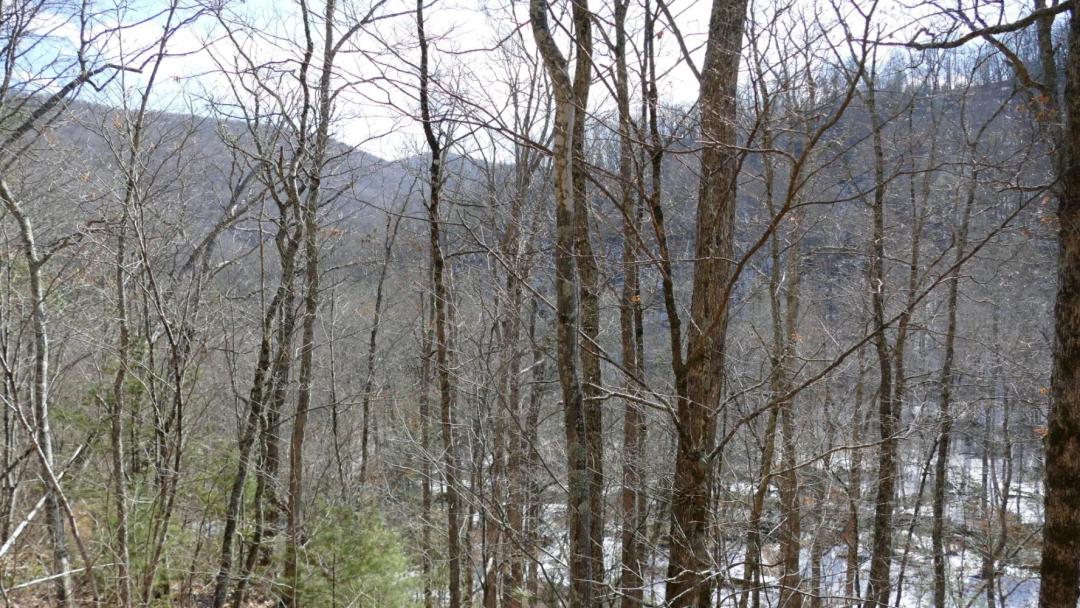 10.48 Acres at 0 Upper Back Creek Road