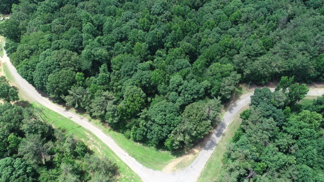 10 Acres in Grenada County, MS