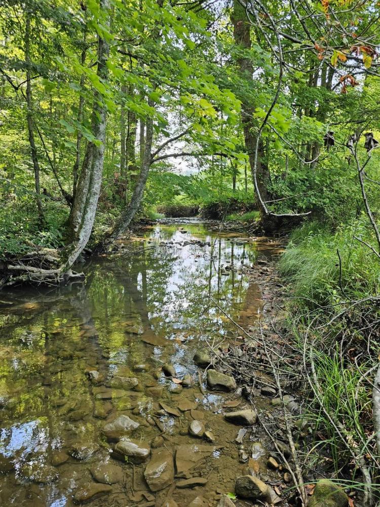 9.33 Acres at 2076 and 2188 Laurel Creek Road