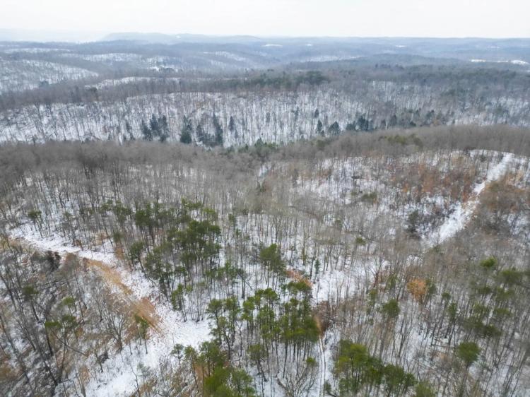Fairview Ridge Hunting Farm