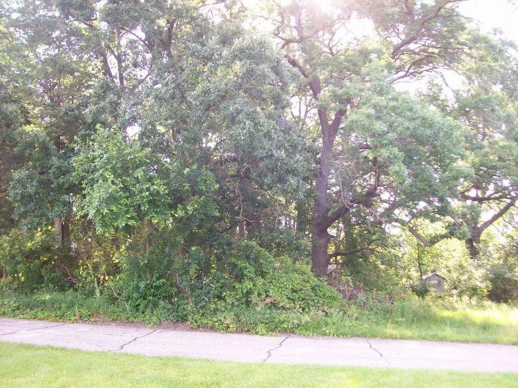 Buildable Lot Dalton Wisconsin