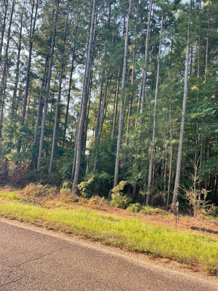 9.45 Acres at 000 Columbia Road 200