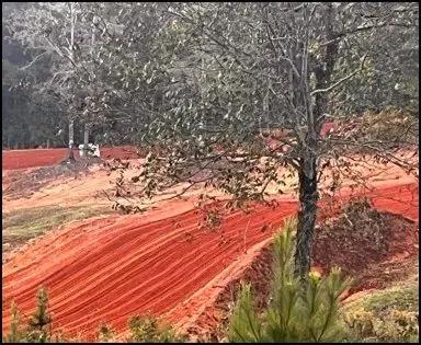 76007896-4