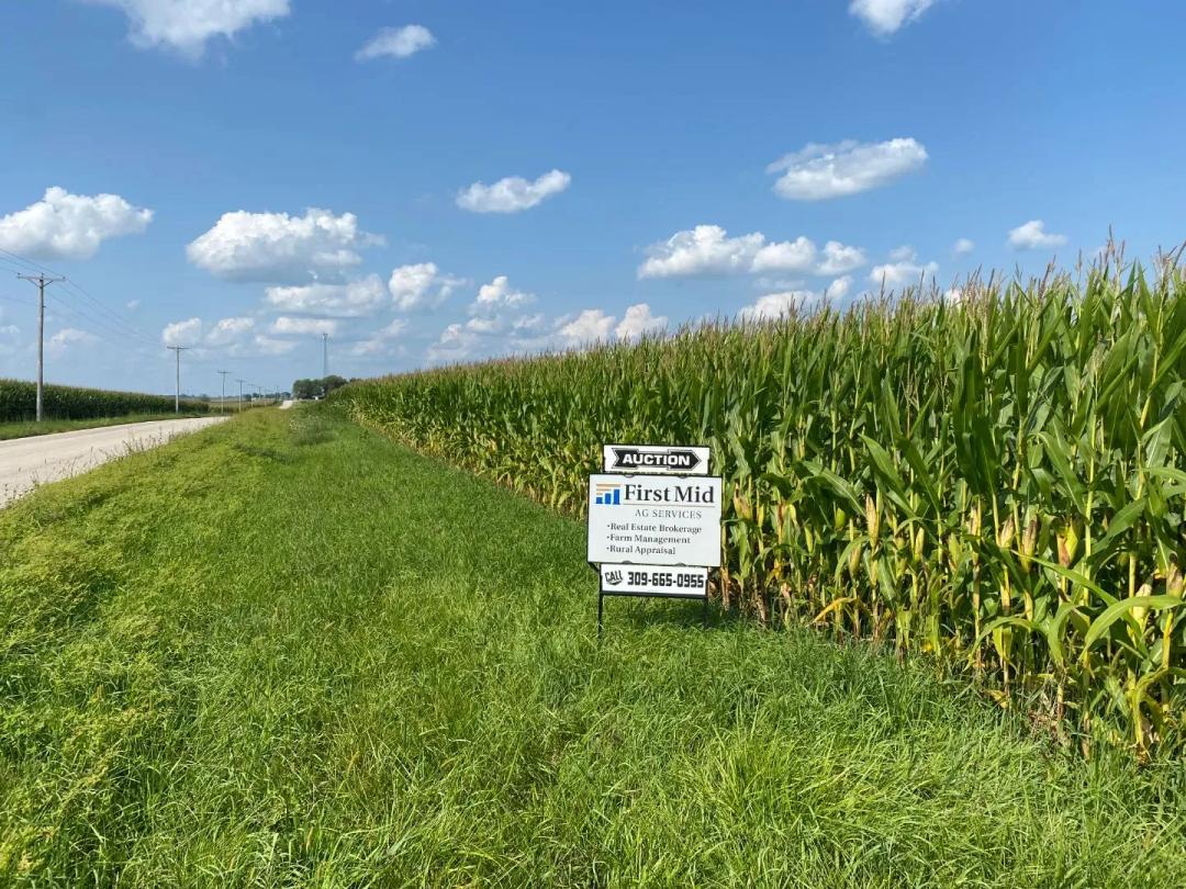 The Driscoll Trust Farmland Auction | 368.57 +/- Acres | Menard County, IL