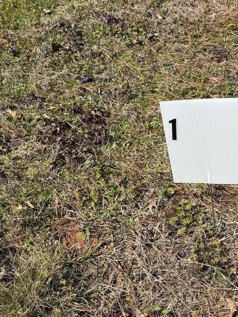 0.37 Acres at 000 Lakeside Hideaway Drive