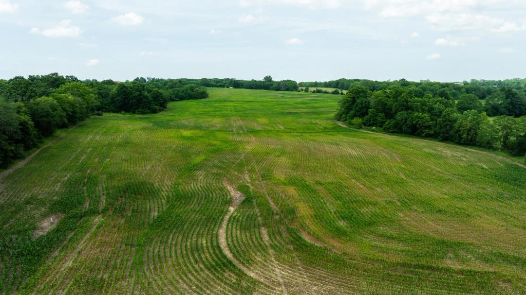 60 Acre Income Producing Hunting Farm With Tillable Ground
