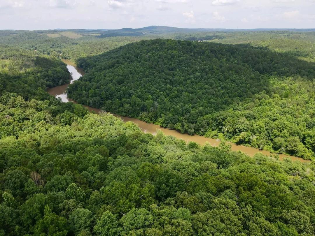 Tallapoosa River 40