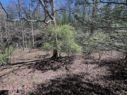 76073799-16