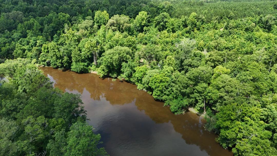 97.00 Acres at 0 County Road 332, Tract 8