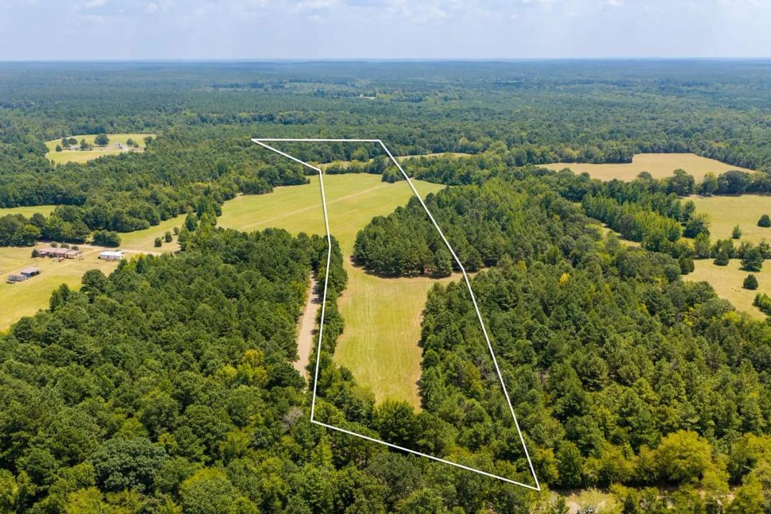 24± Acres | Timber, Recreation & Country Living | Arkadelphia, Arkansas