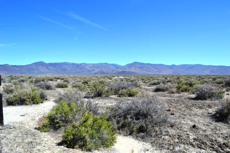 Unique Opportunity to own 41 acres   in the Historic Railroad townsite of Flanigan Nevada