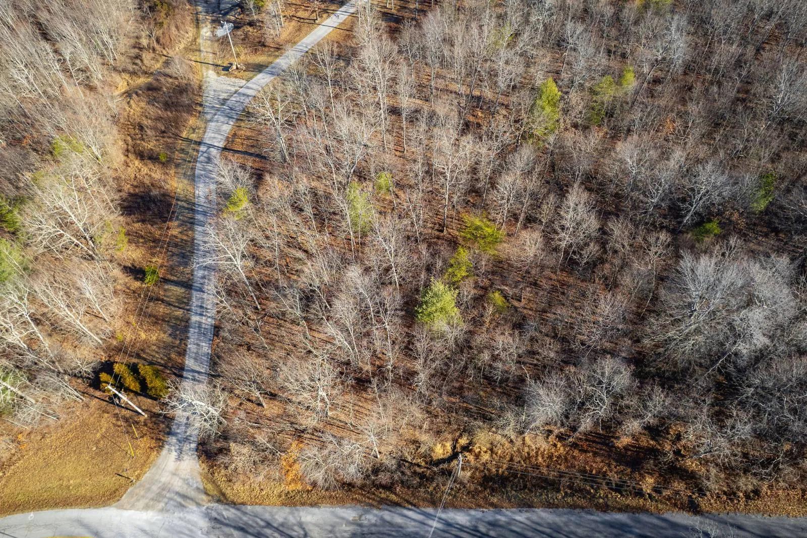 76183509-5