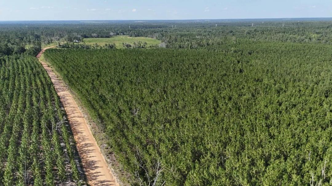 4.6± Acres on Penny Morris Road
