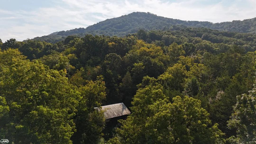 Clinch Mountain Acreage
