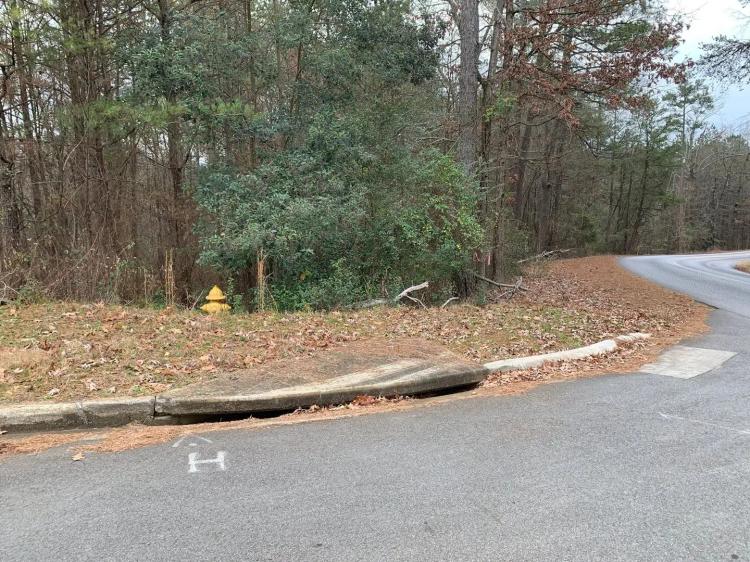 35+/- acres Rome, GA