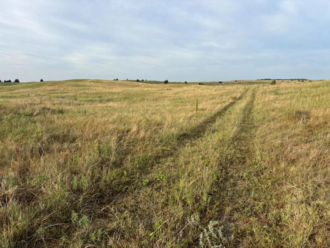 South Homestead Acreage