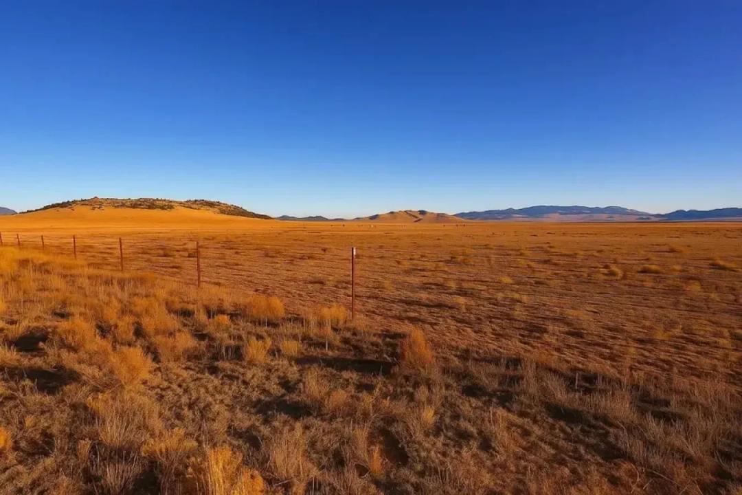 Black Beaver Road