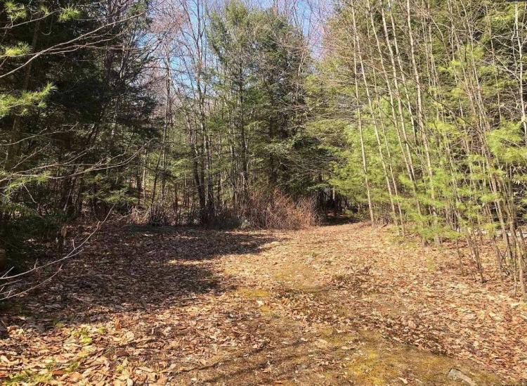 1.31 Acres at 1 South Trout Lake Road