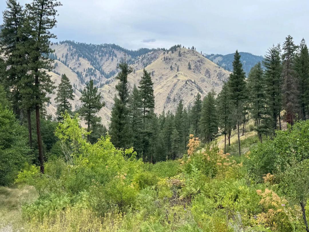 Elkhorn Creek Ranch