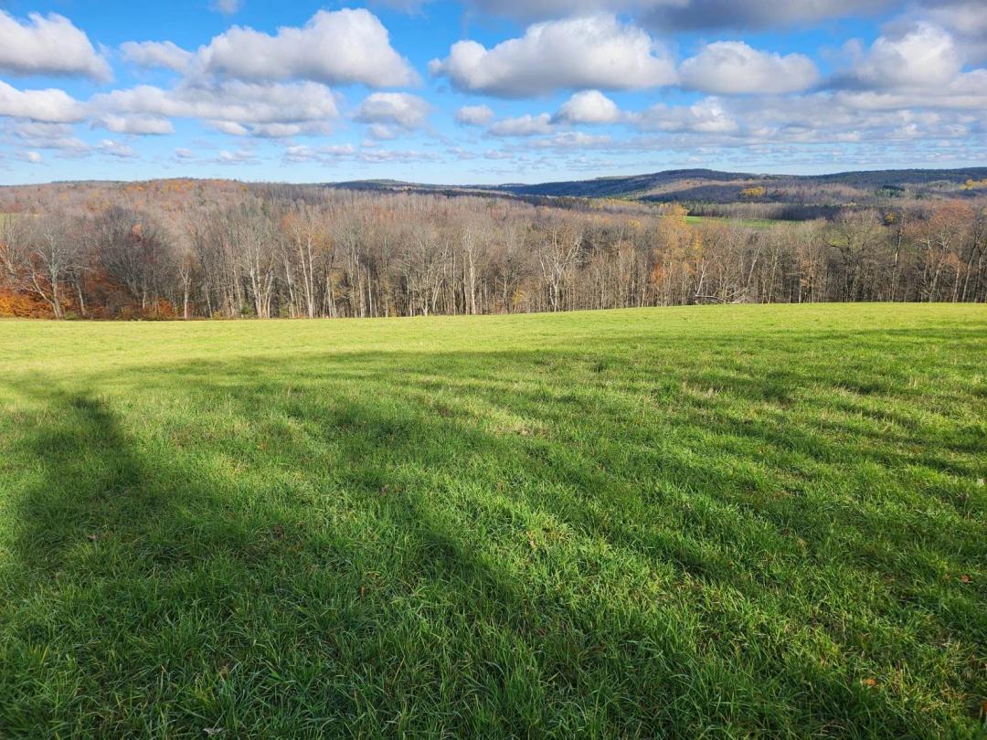 25.00 Acres at 0 Reit Road