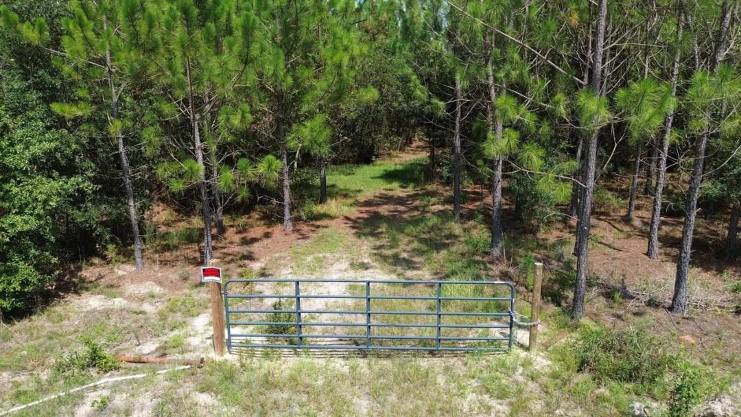 4-/+ Acres Tract in Penny Morris Road, Baxley, GA